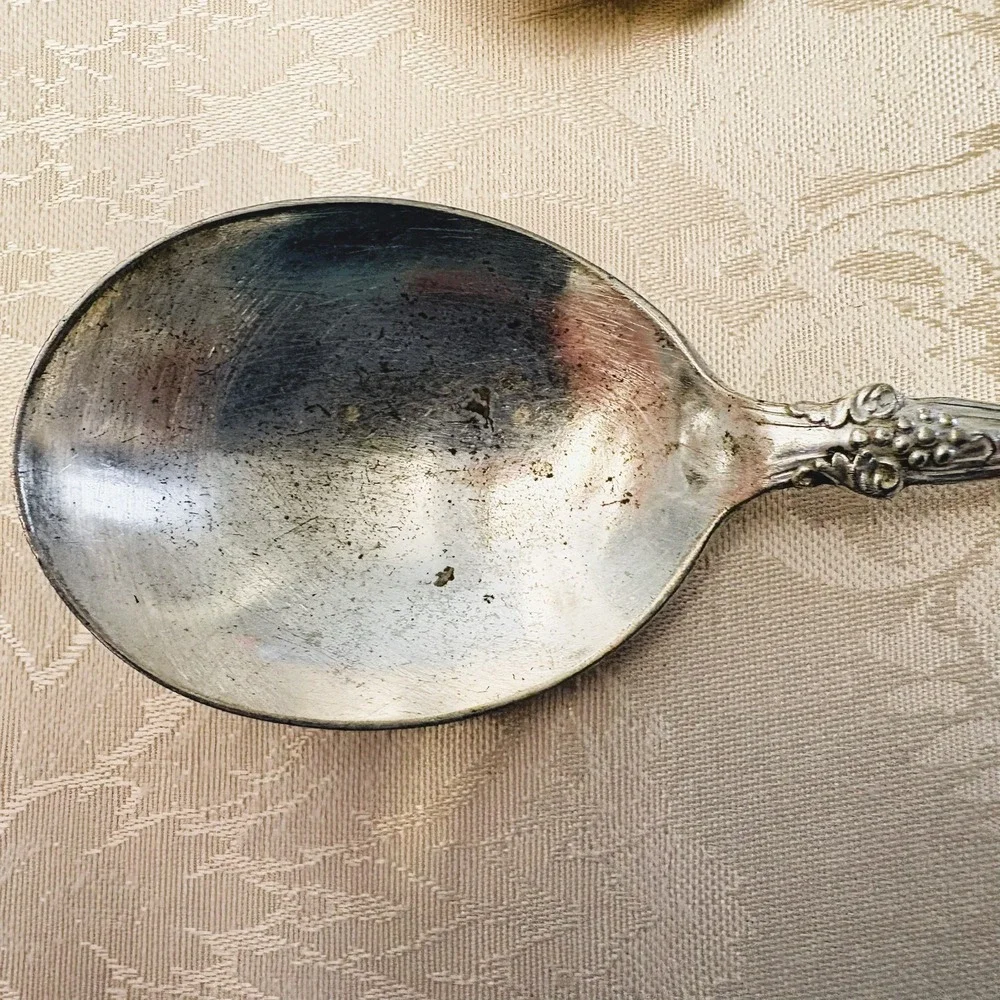 1847 Rogers Bros Vintage 1904 Silverplate 1 Gumbo & 3 Fruit Spoons Grape Motif
